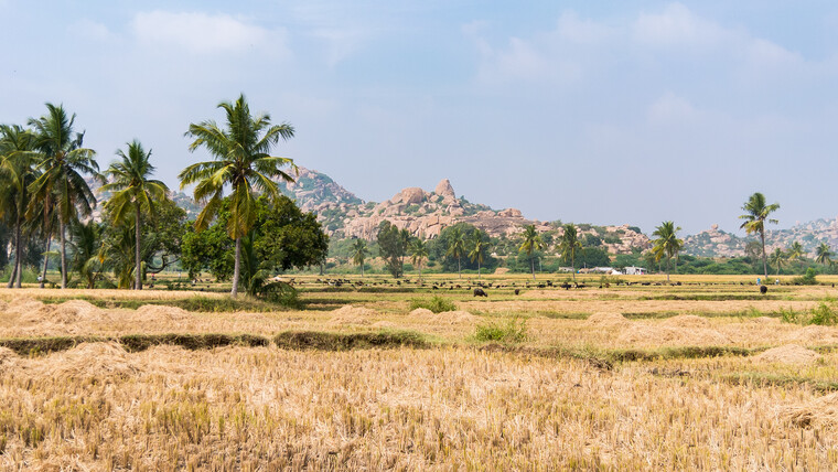 India 2014 - Hampi 081.jpg